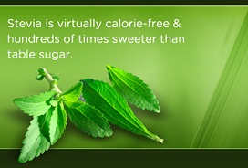 Sztívia a természetes édesítőszer és nulla kalóriás! Nem véletlen, hogy már kapható nálunk is!