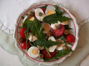 Saláta a kertből? Ehető és egészséges kerti gyógynövények