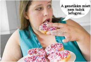 A génjeidnek tényleg szerepe lehet abban, hogy nem tudsz lefogyni! De a kiváltó tényező, akkor is a táplálkozásod!
