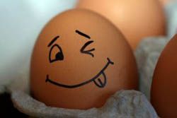 Tojásvariációk a diétádban, ha unod a főtt tojást!