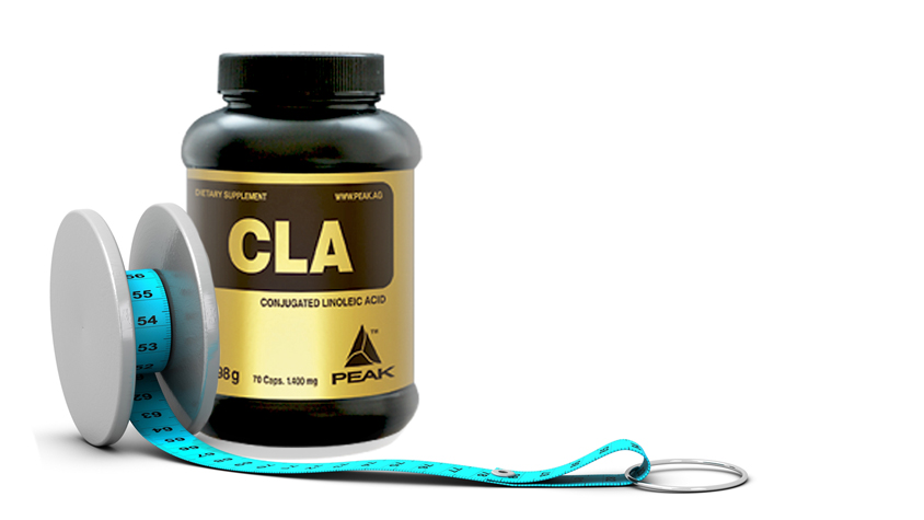 CLA (konjugált linolsav) hatása | Panda Nutrition