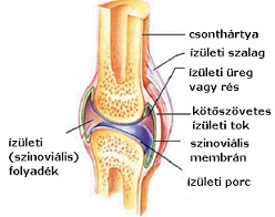 Az ízületek artrózisa: a nagy csontok és ízületek artrózisának tünetei és kezelése, a fejlődés okai