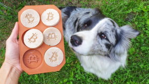 Bitcoinos “csoki” kutyáknak, mert miért ne? :)