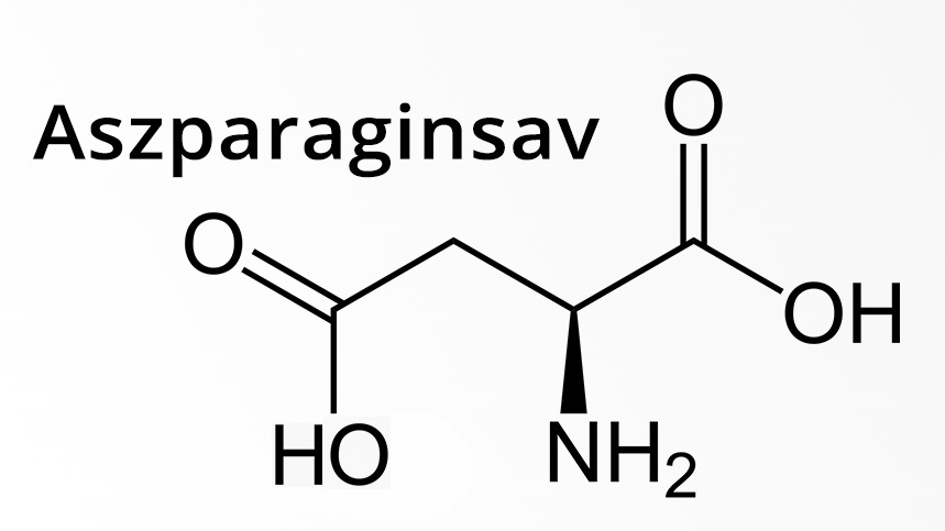 Aszparaginsav - PEAK, peakshop.hu