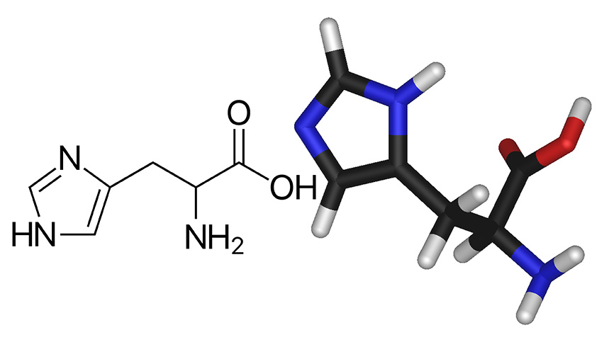 Hatóanyag: Hisztidin, histidine, aminosav - PEAK, peakshop.hu
