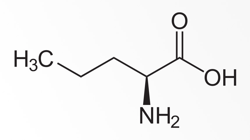 Hatóanyag: L-norvalin, aminosav - PEAK, peakshop.hu
