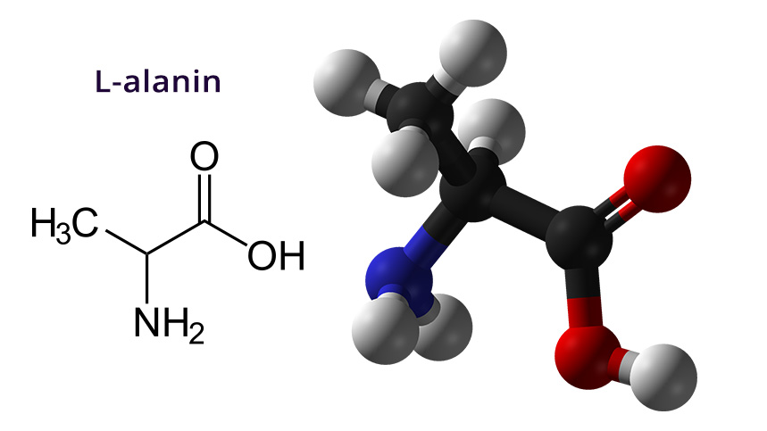 Hatóanyag: L-alanin, alanin, aminosav - PEAK, peakshop.hu