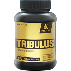 tribulus_teresis