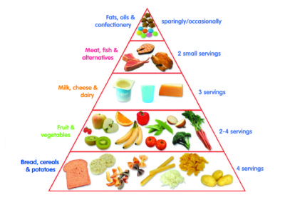 Téveszmék a táplálkozási piramisban? A helyes táplálkozáshoz rendelkezésedre áll a szükséges alaptudás