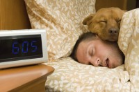Az alvás fontossága – hogyan ismerheted fel az alváshiány jeleit!