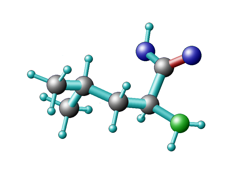 peak_leucin_aminosav