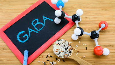 GABA, egy aminosav amely testzsírgátló?